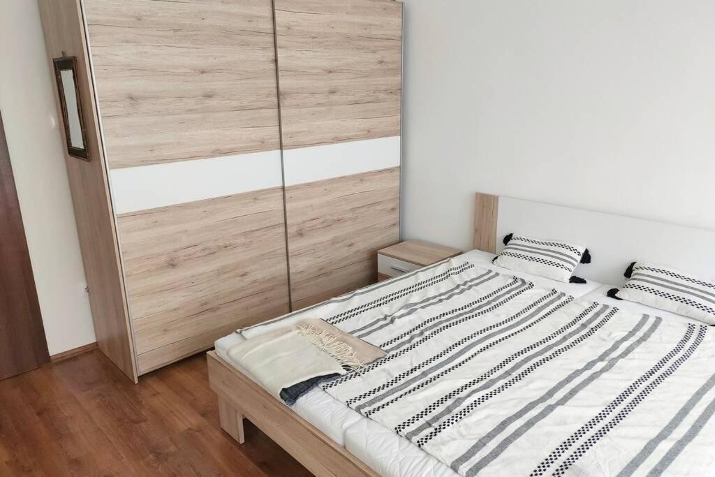 Plaza Apartman - City Center, Free Parking, Free Wifi Debrecen Exterior photo